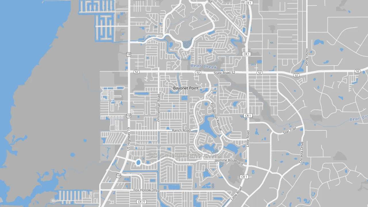 Transit Grade map of Bayonet Point, FL