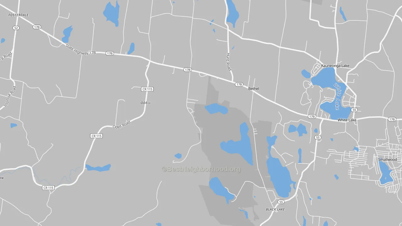 Transit Grade map of Bethel, NY
