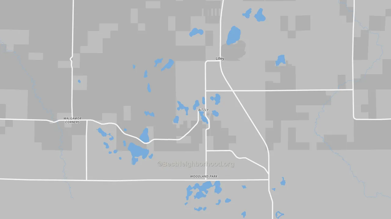 Transit Grade map of Bitely, MI