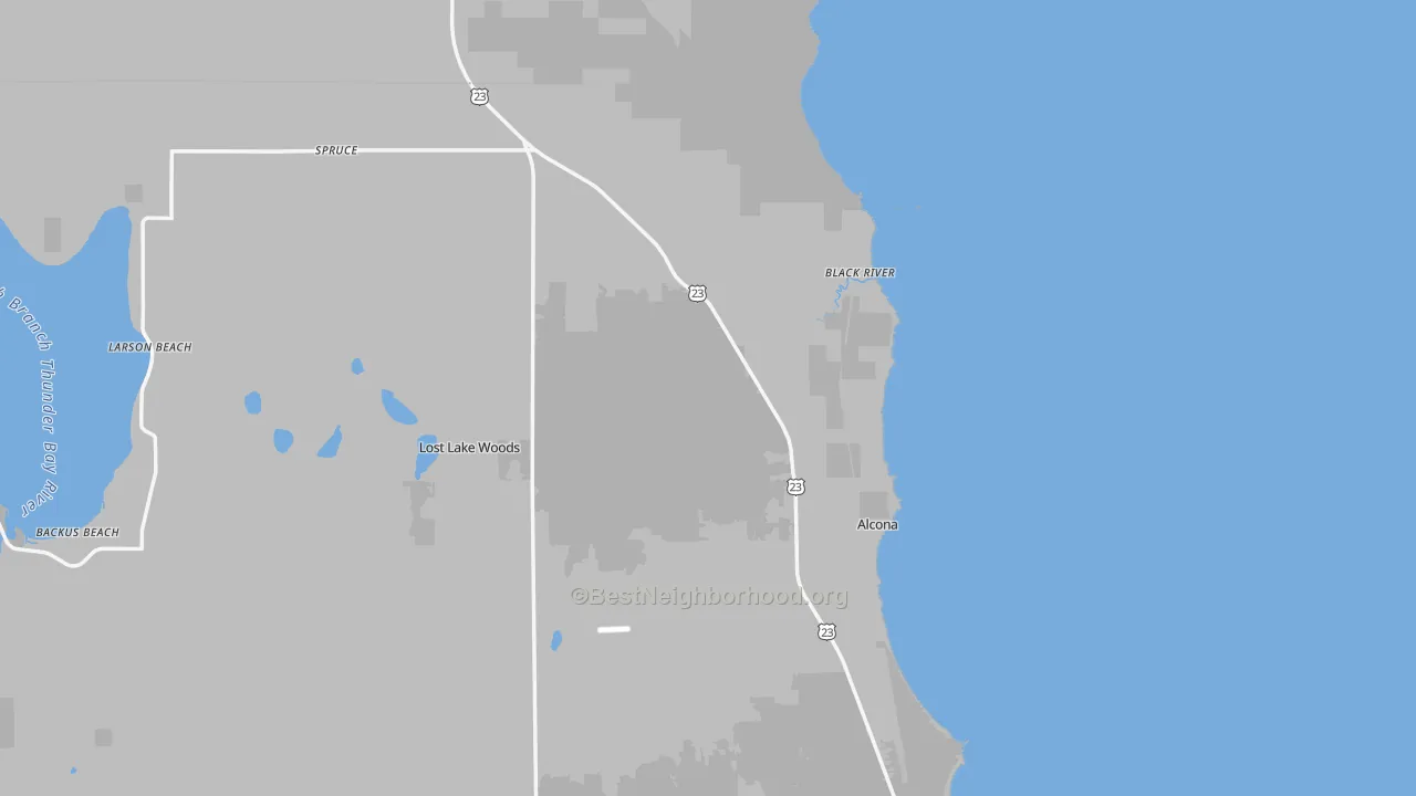 Transit Grade map of Black River, MI