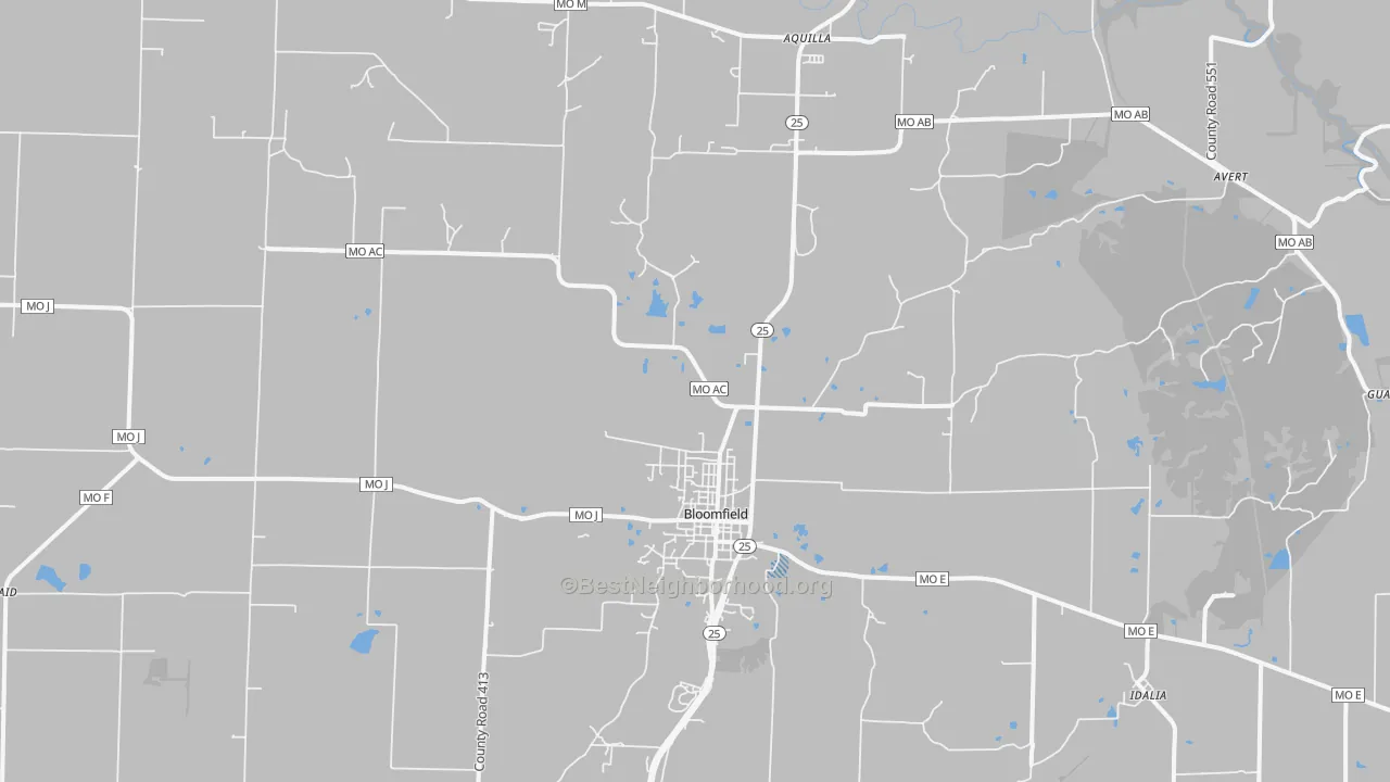Transit Grade map of Bloomfield, MO