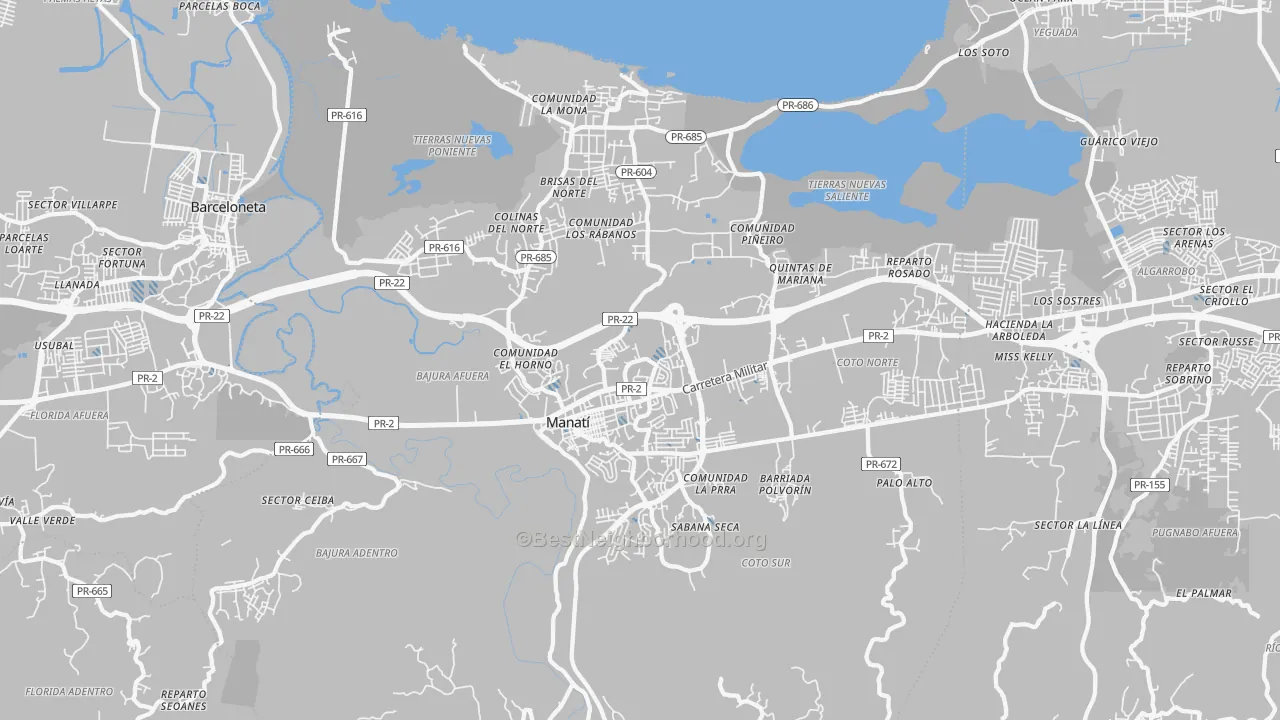 Transit Grade map of Boquillas, PR