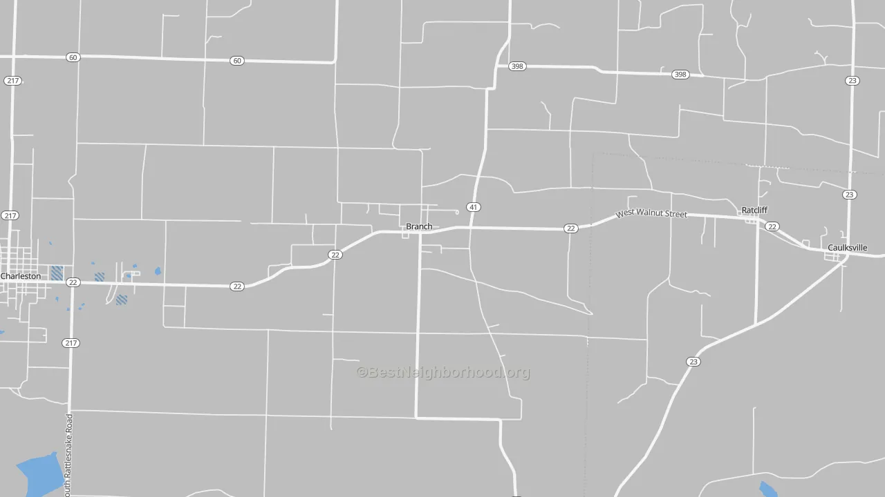 Transit Grade map of Branch, AR