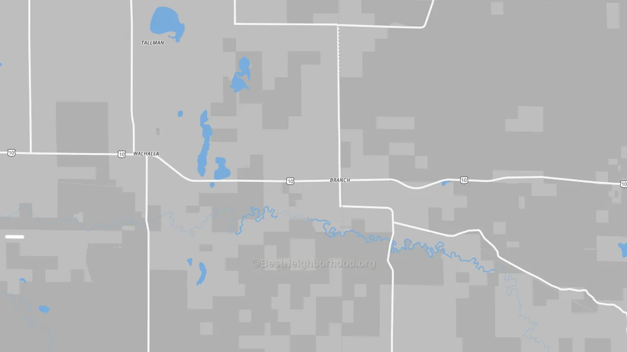 Transit Grade map of Branch, MI