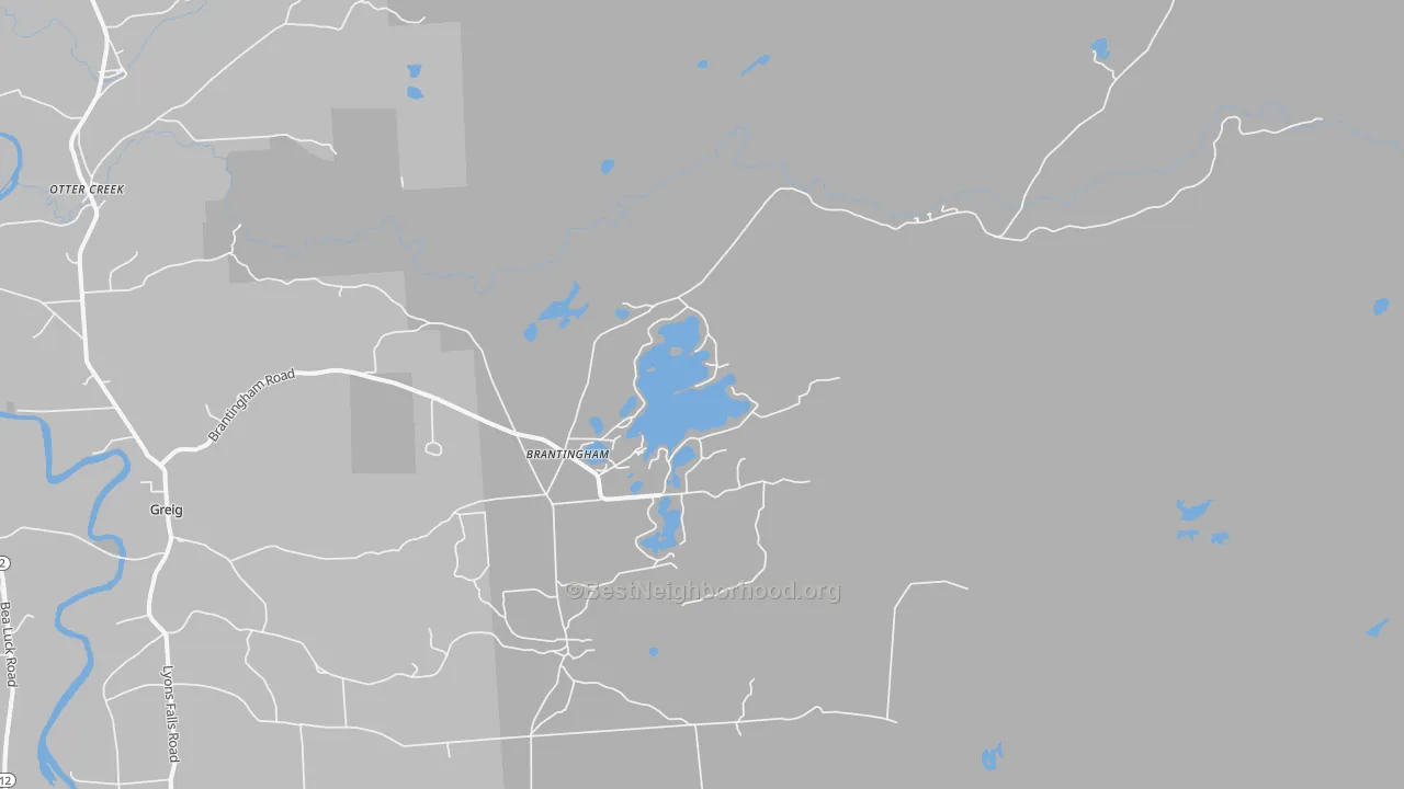 Transit Grade map of Brantingham, NY