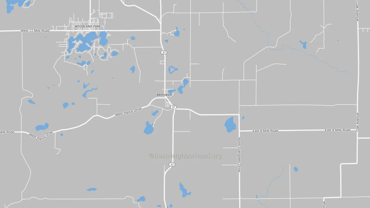 Transit Grade map of Brohman, MI