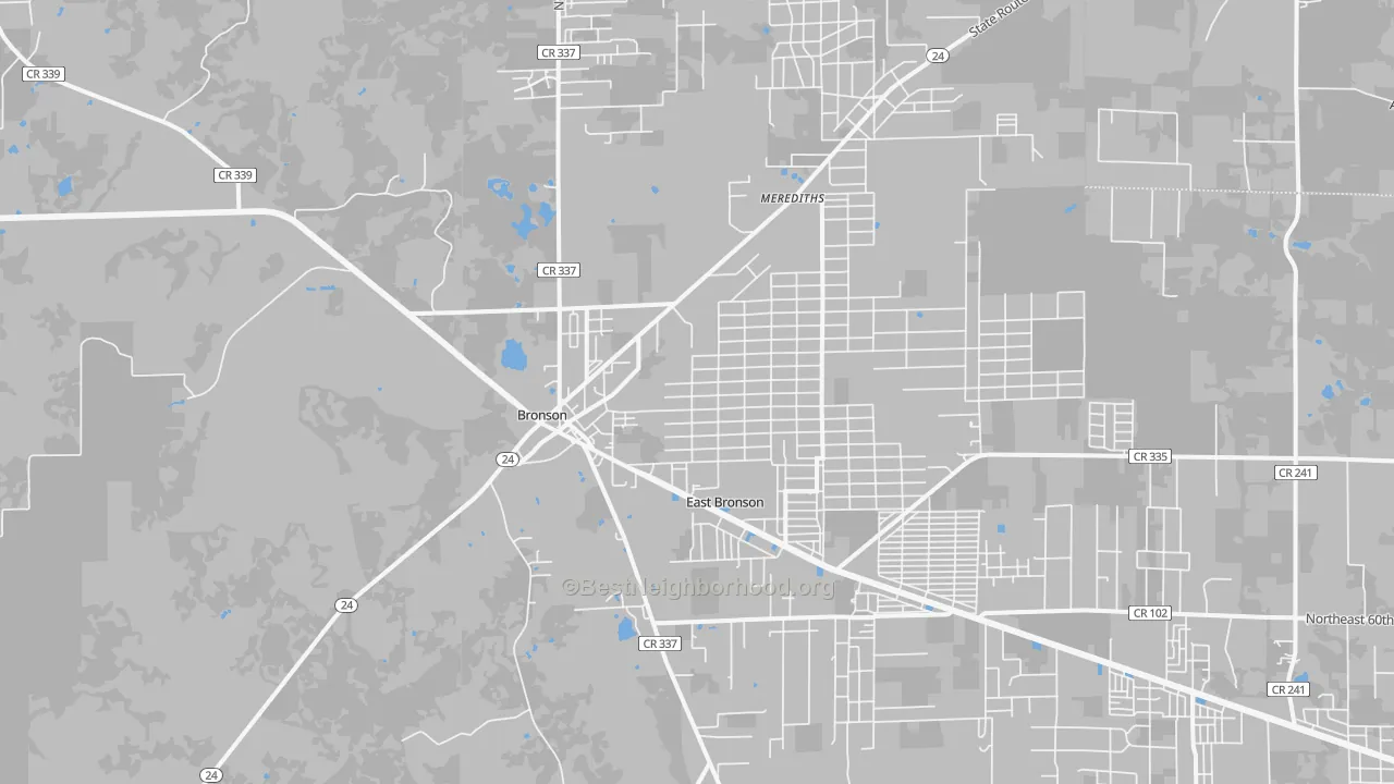 Transit Grade map of Bronson, FL