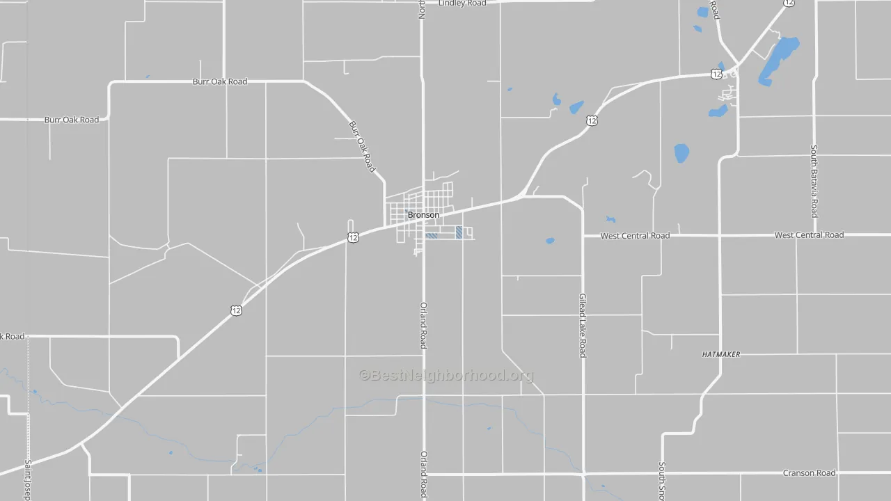 Transit Grade map of Bronson, MI