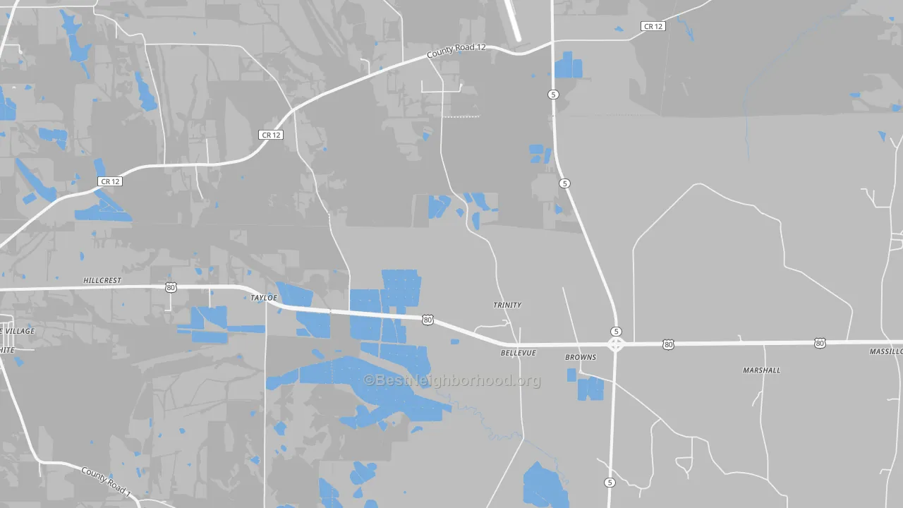 Transit Grade map of Browns, AL