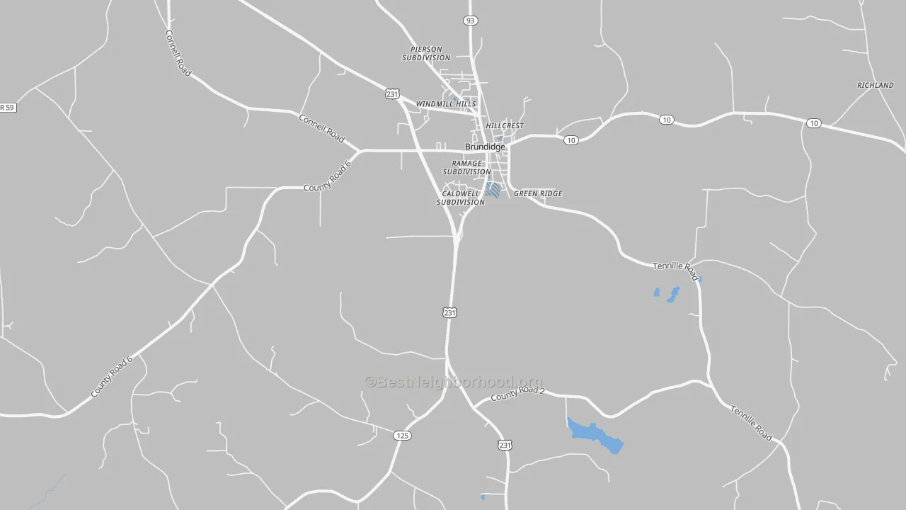 Transit Grade map of Brundidge, AL