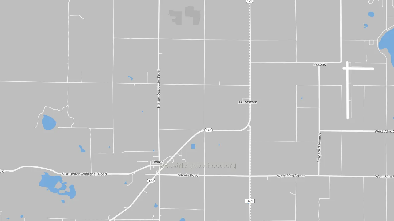 Transit Grade map of Brunswick, MI