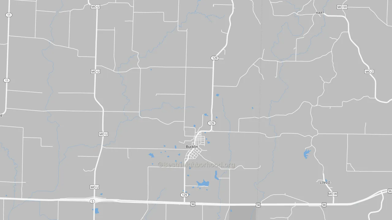 Transit Grade map of Bucklin, MO