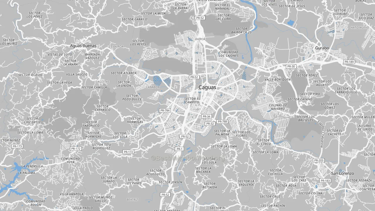 Transit Grade map of Caguas Municipio, PR