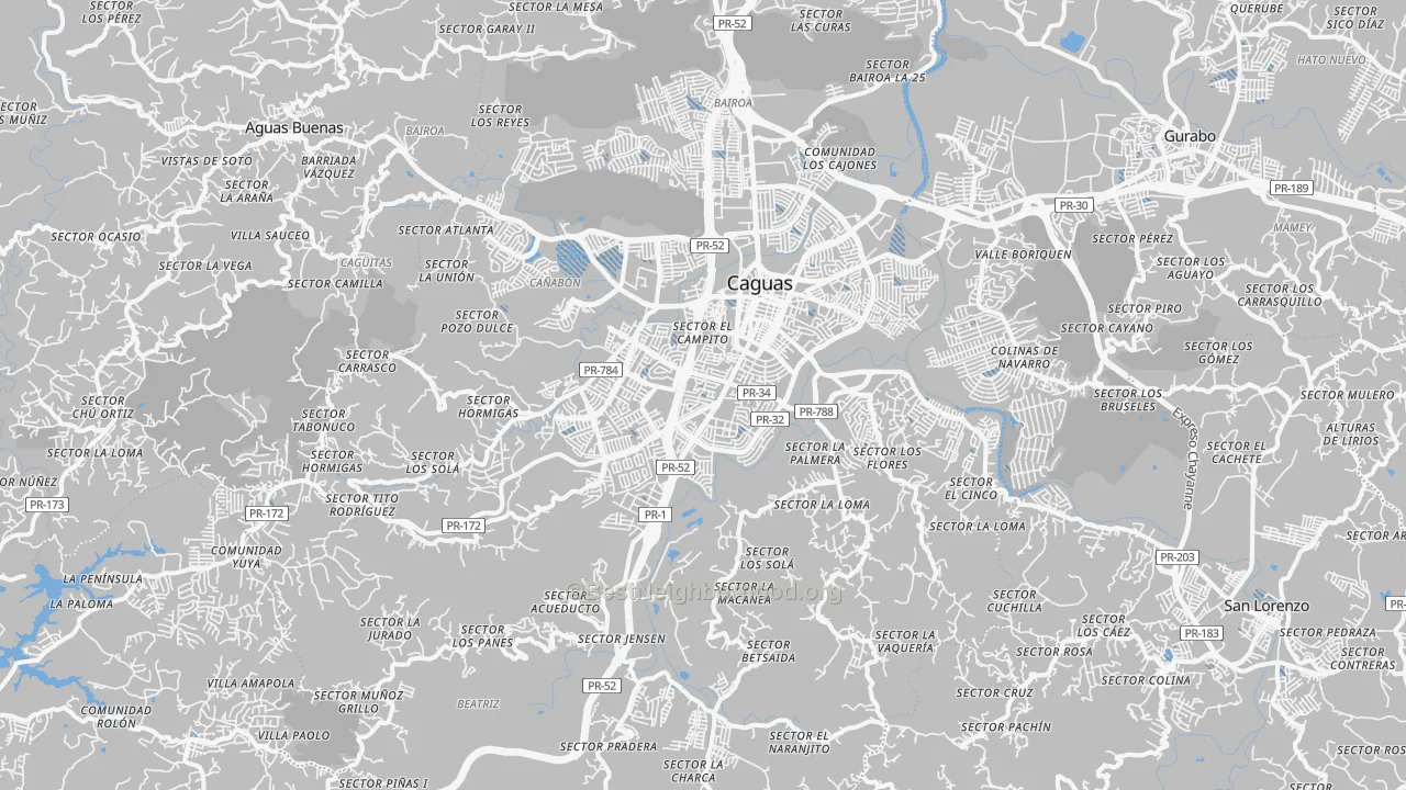 Transit Grade map of Caguas, PR