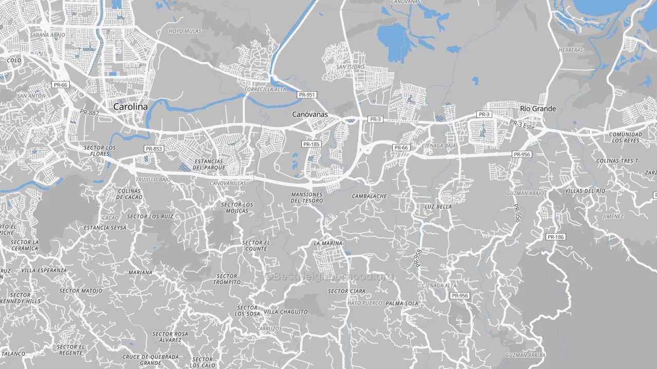 Transit Grade map of Canovanas Municipio, PR