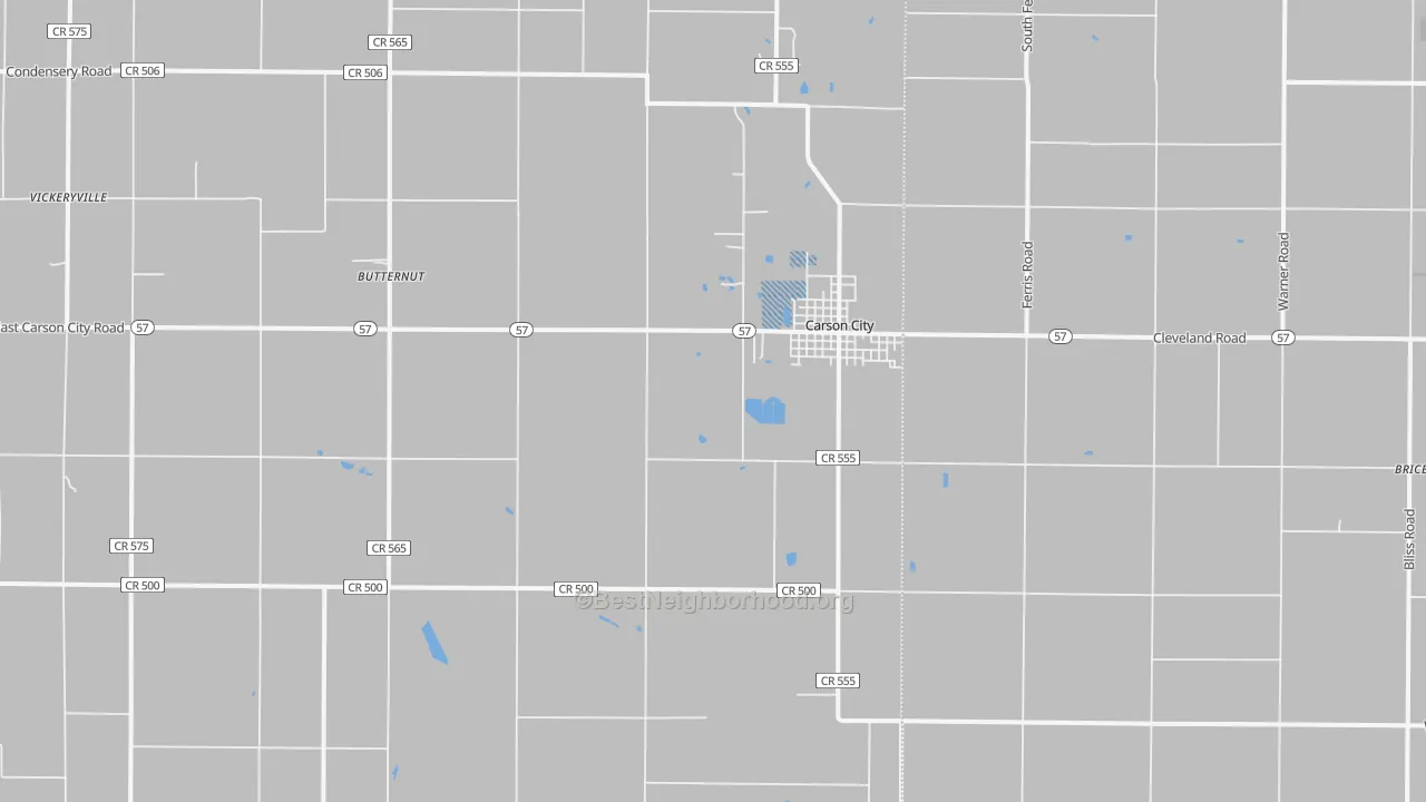 Transit Grade map of Carson City, MI