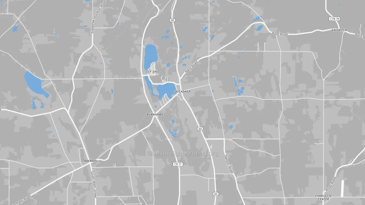 Transit Grade map of Cassadaga, NY