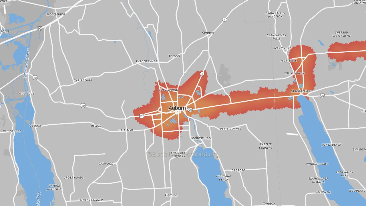 Transit Grade map of Cayuga County, NY
