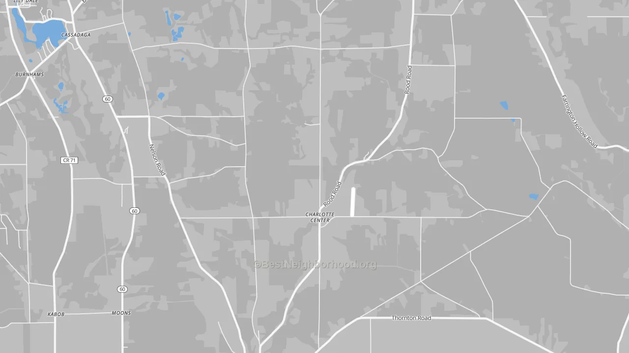 Transit Grade map of Charlotte Center, NY
