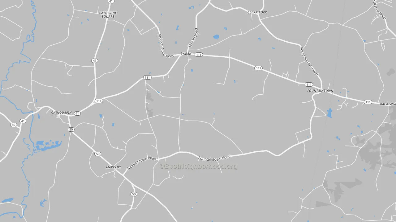 Transit Grade map of Chinquapin, NC