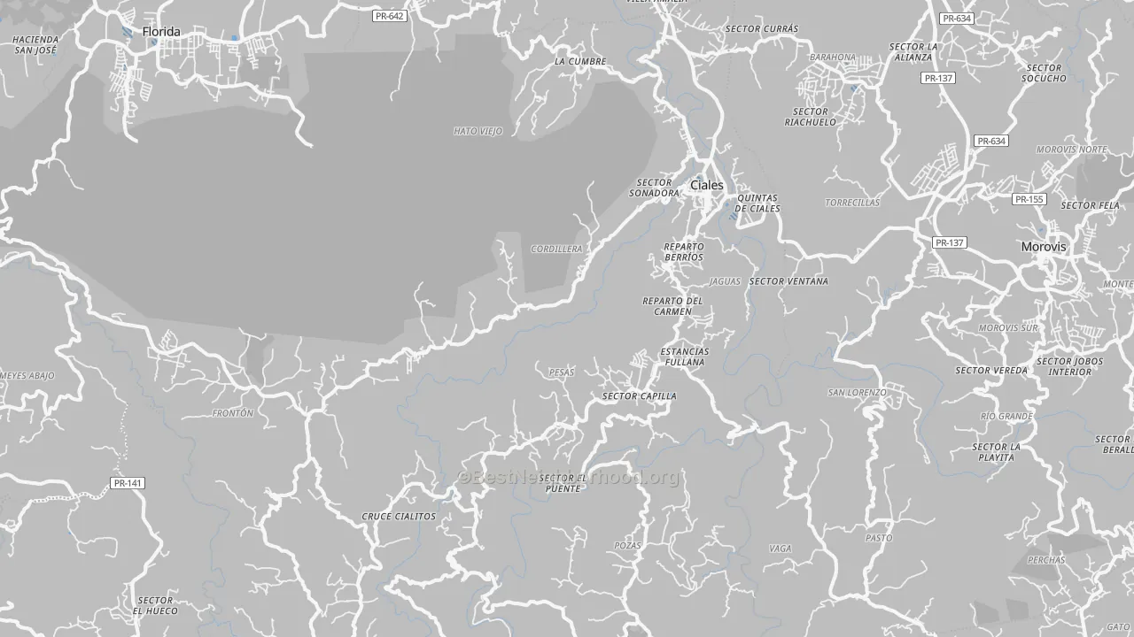 Transit Grade map of Ciales Municipio, PR