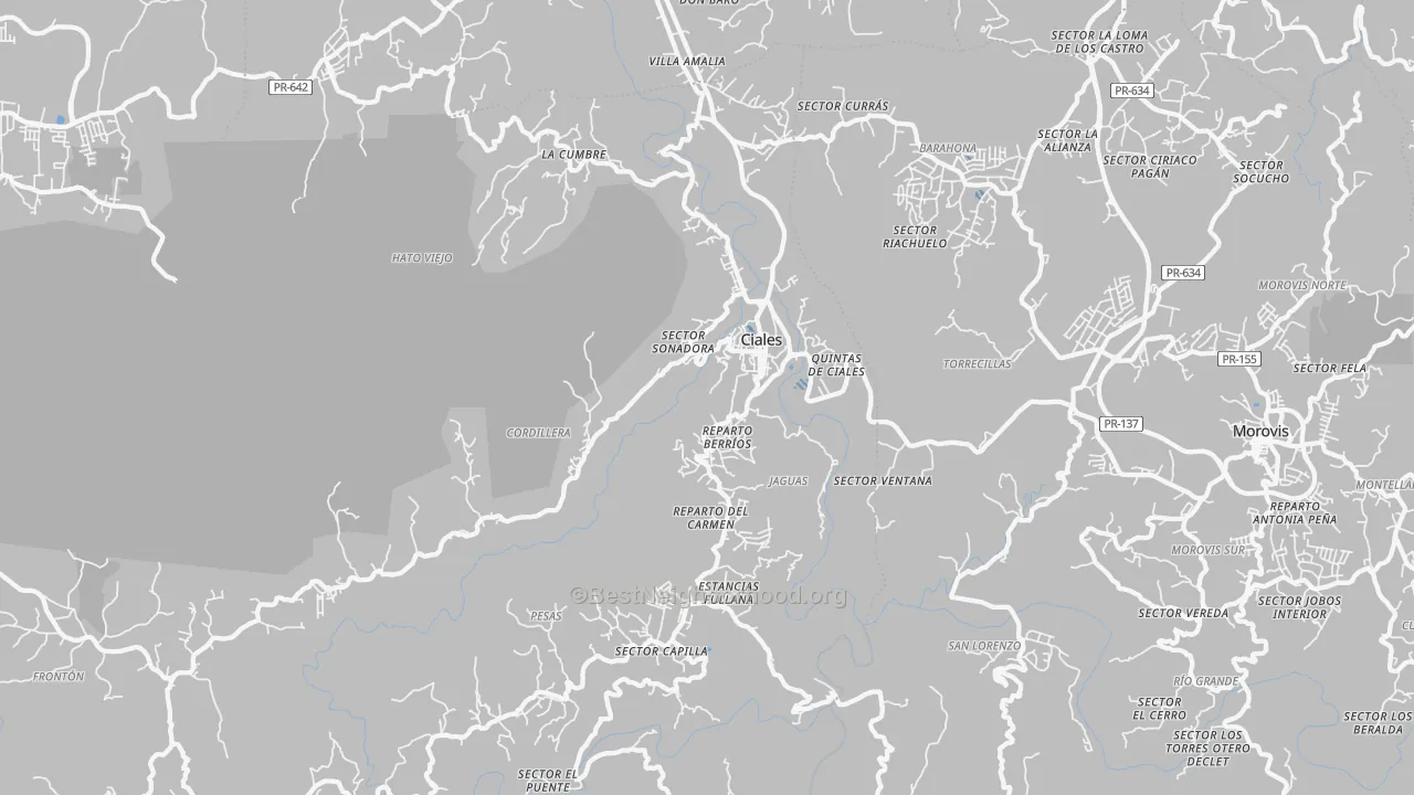 Transit Grade map of Ciales, PR