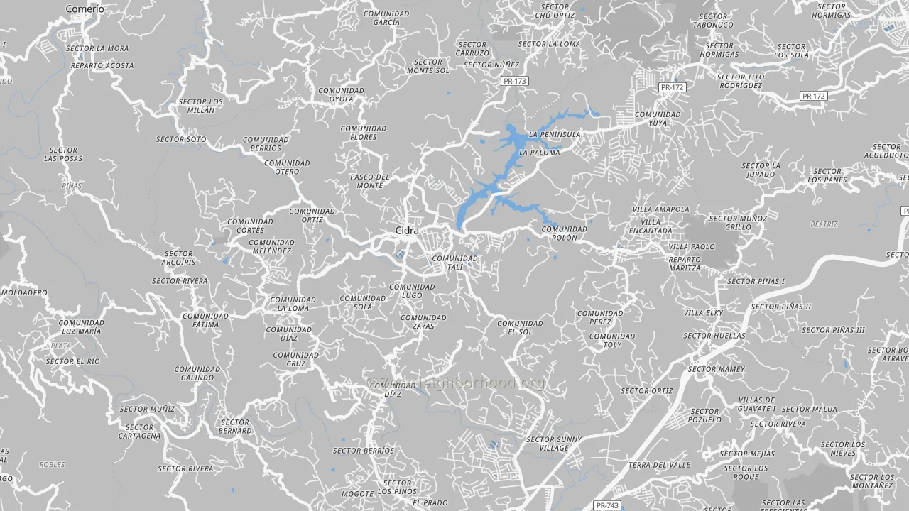 Transit Grade map of Cidra Municipio, PR