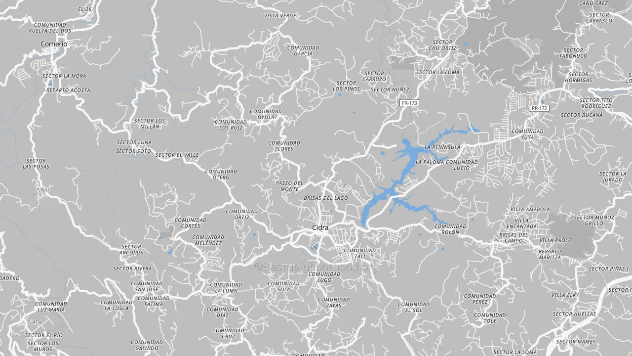Transit Grade map of Cidra, PR