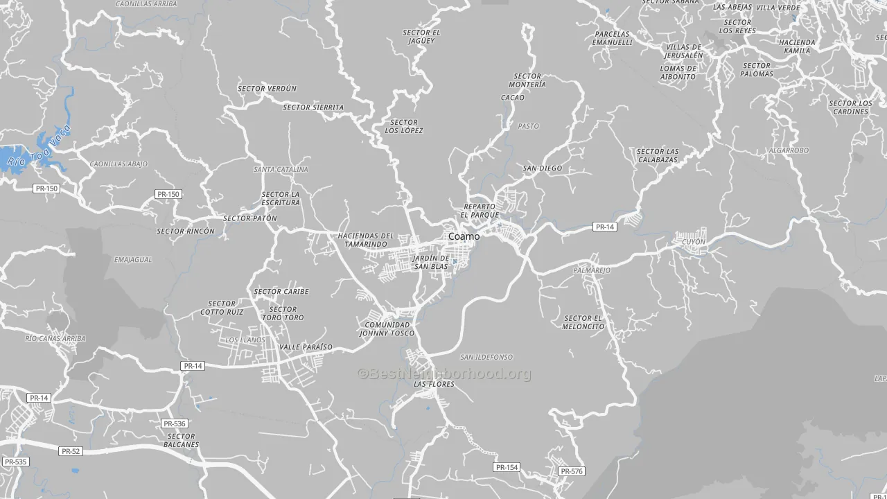 Transit Grade map of Coamo Municipio, PR