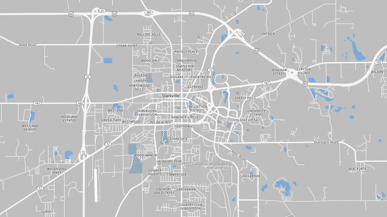Transit Grade map of College View, Starkville, MS