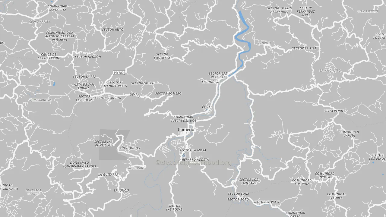 Transit Grade map of Comerio Municipio, PR