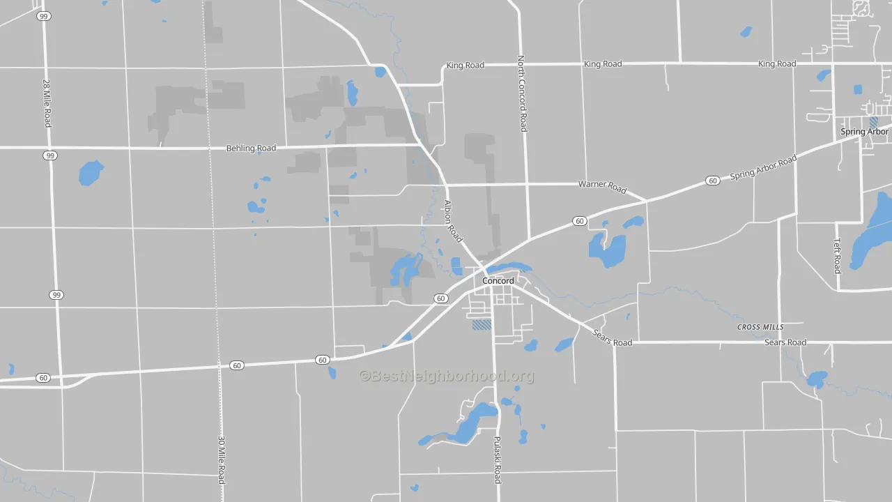 Transit Grade map of Concord, MI