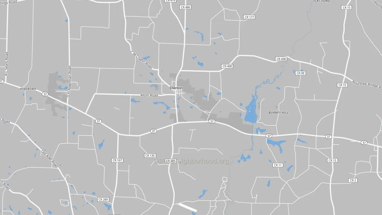 Transit Grade map of Ellenton, GA