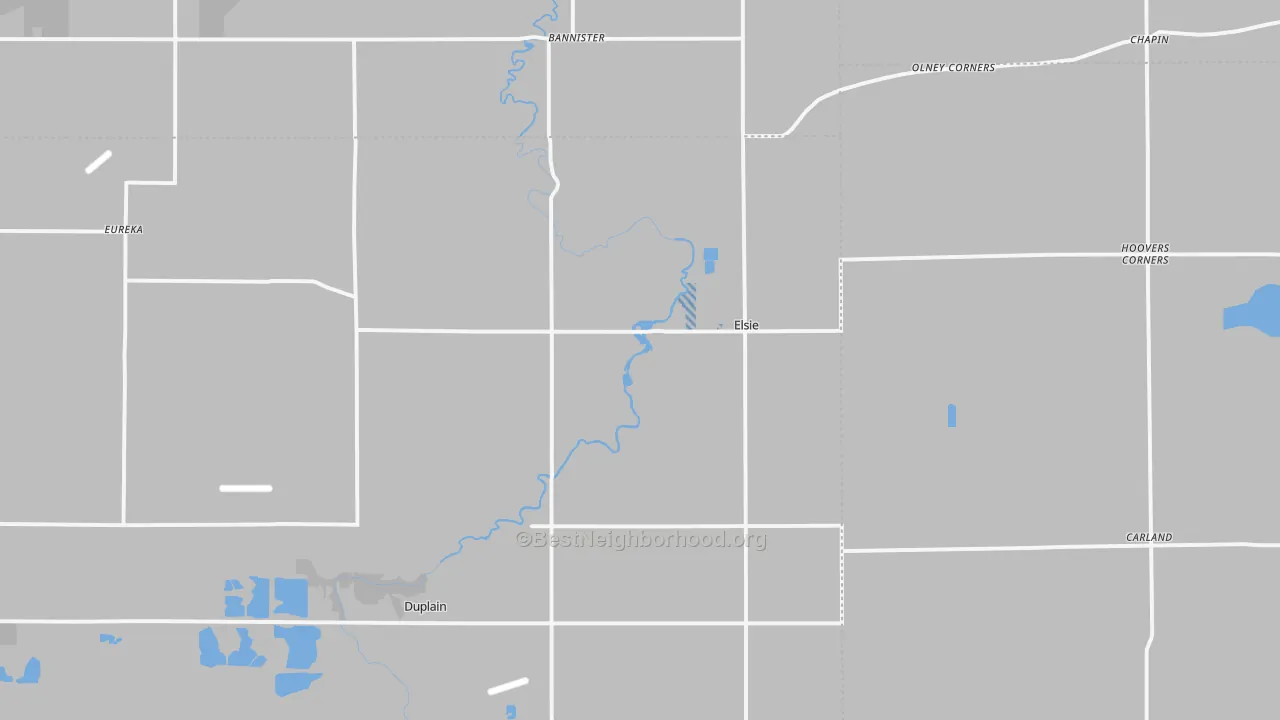 Transit Grade map of Elsie, MI