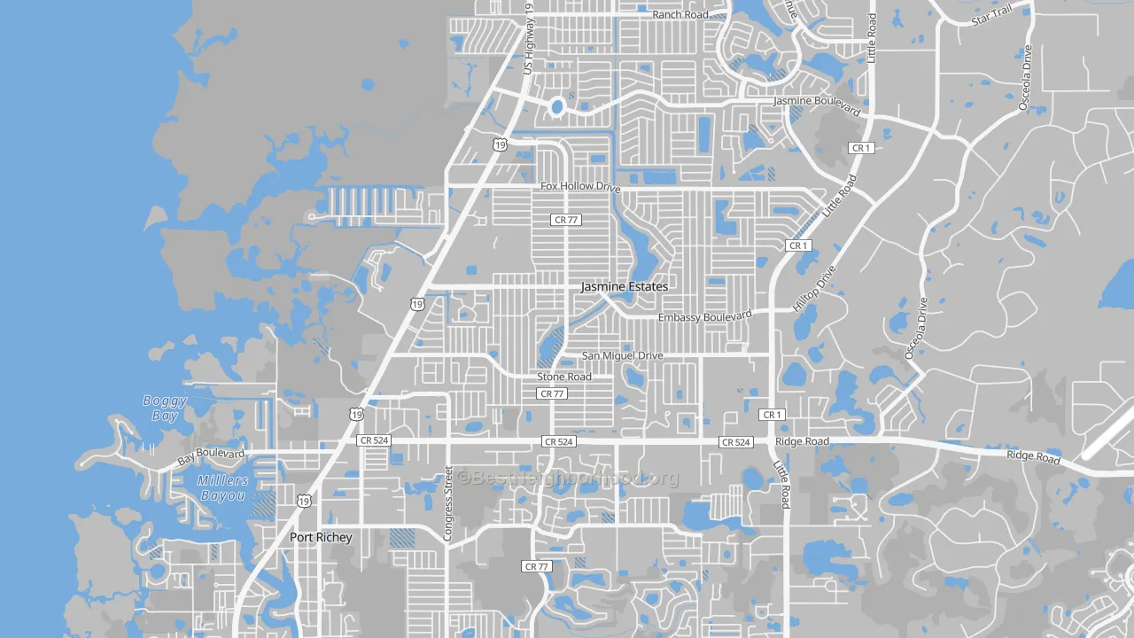 Transit Grade map of Embassy Hills, Jasmine Estates, FL