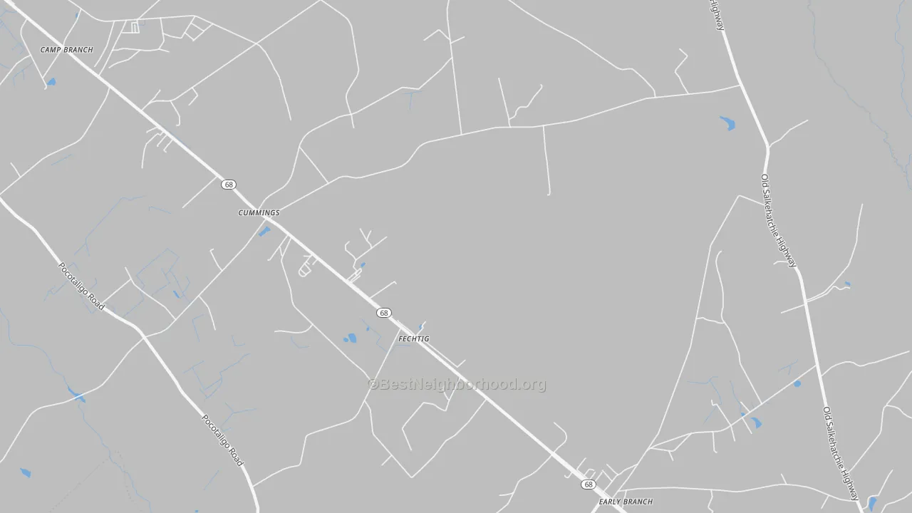Transit Grade map of Fechtig, SC