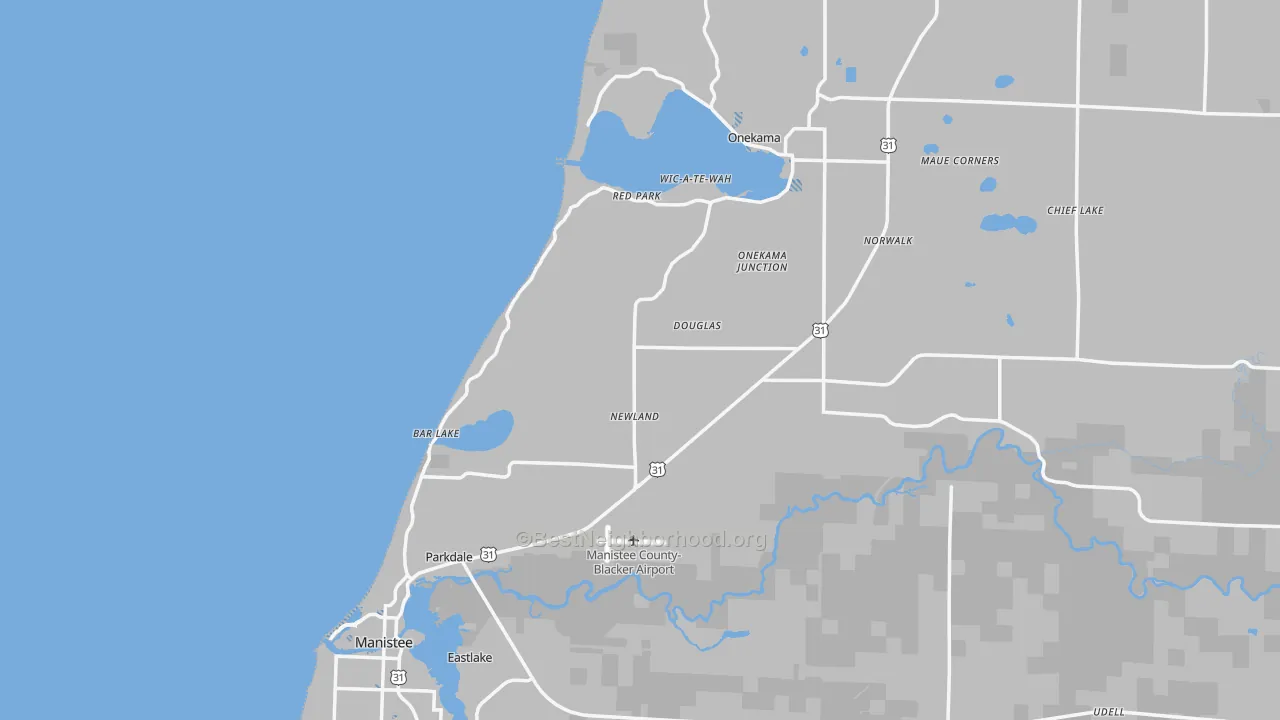 Transit Grade map of Filer City, MI