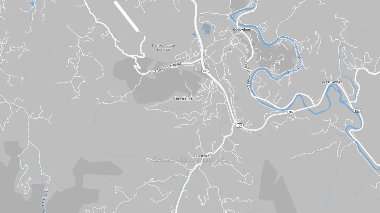 Transit Grade map of Forest Hills, NC
