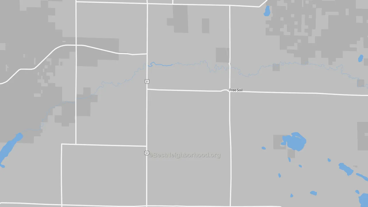 Transit Grade map of Free Soil, MI