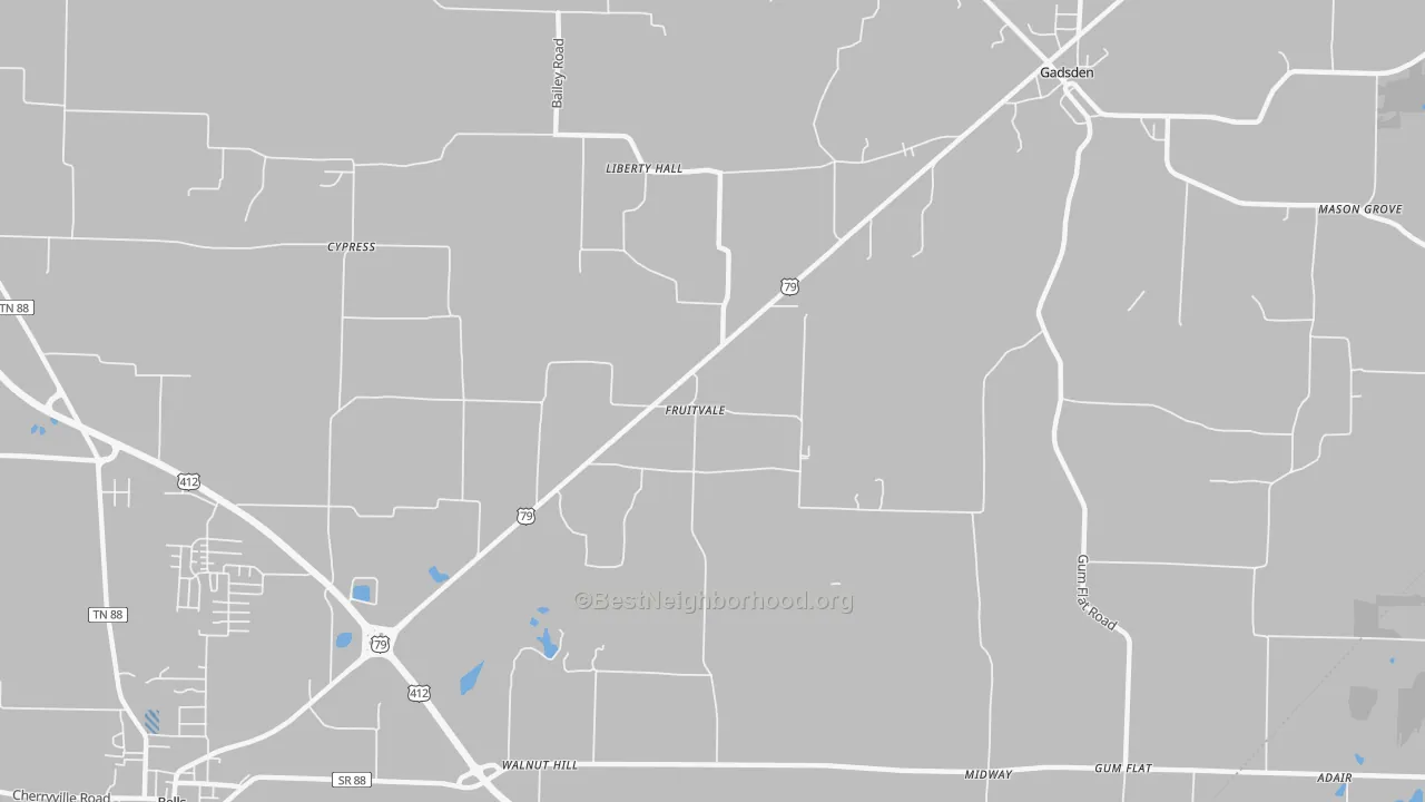 Transit Grade map of Fruitvale, TN