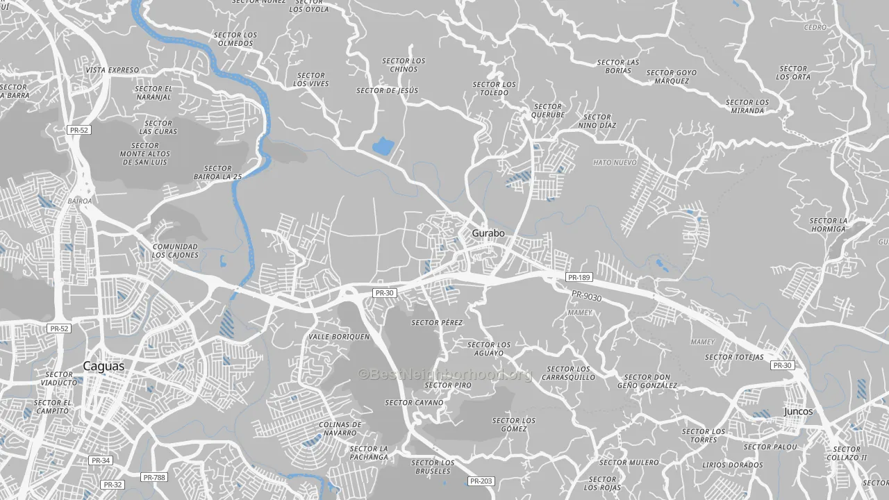 Transit Grade map of Gurabo Municipio, PR