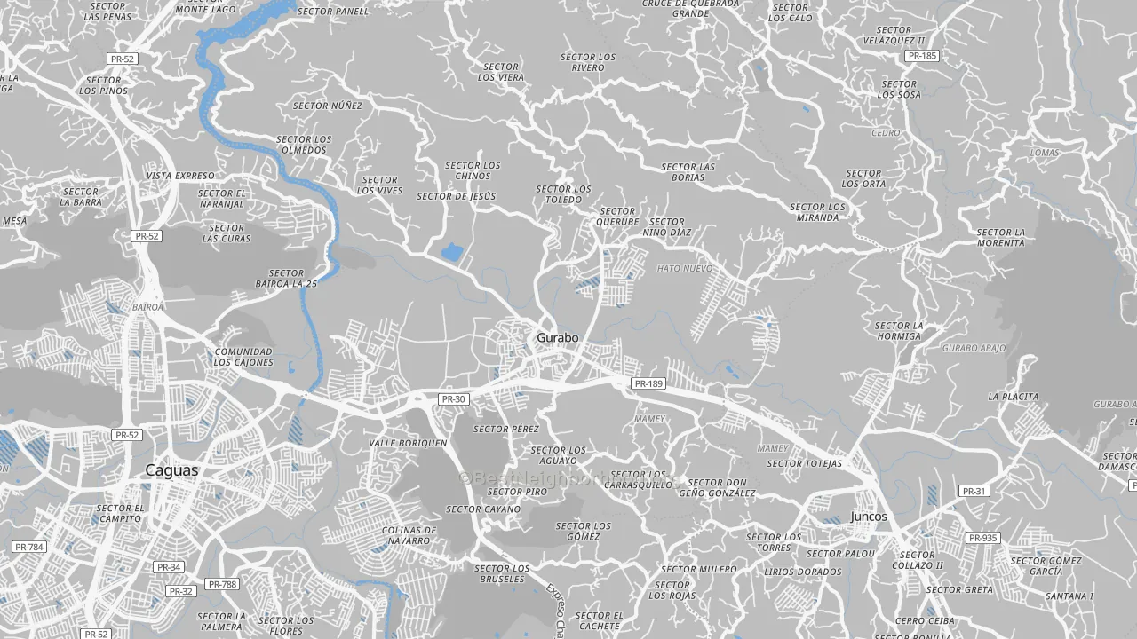 Transit Grade map of Gurabo, PR