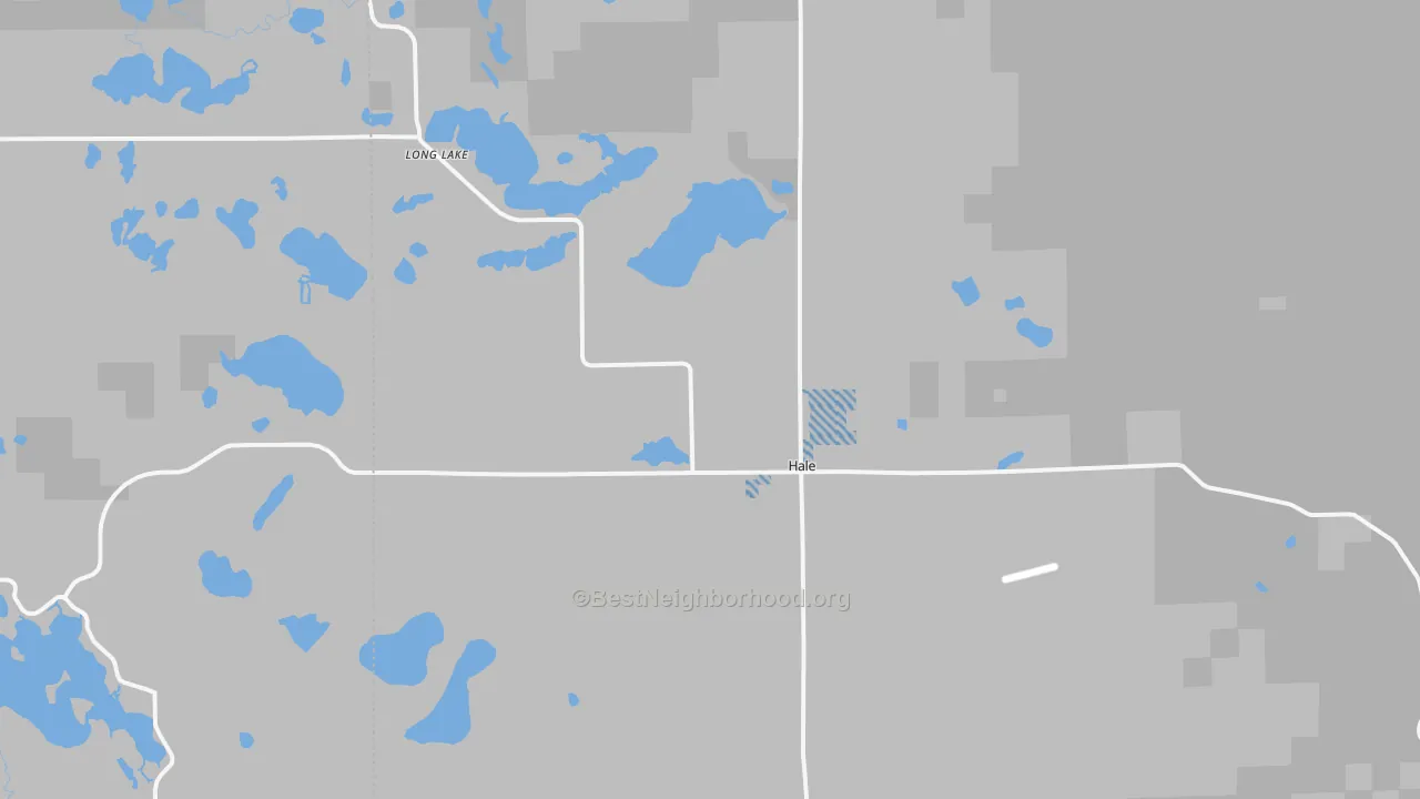 Transit Grade map of Hale, MI
