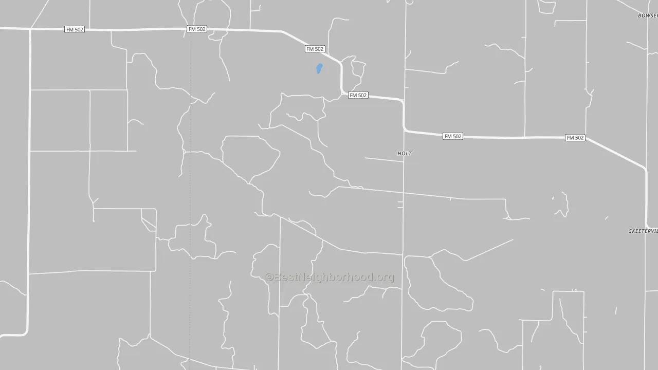 Transit Grade map of Holt, TX