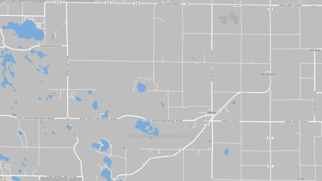 Transit Grade map of Holton, MI