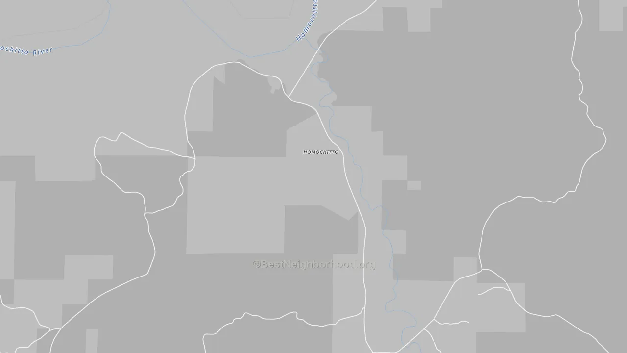 Transit Grade map of Homochitto, MS