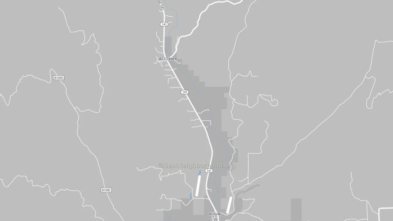 Transit Grade map of Husum, WA