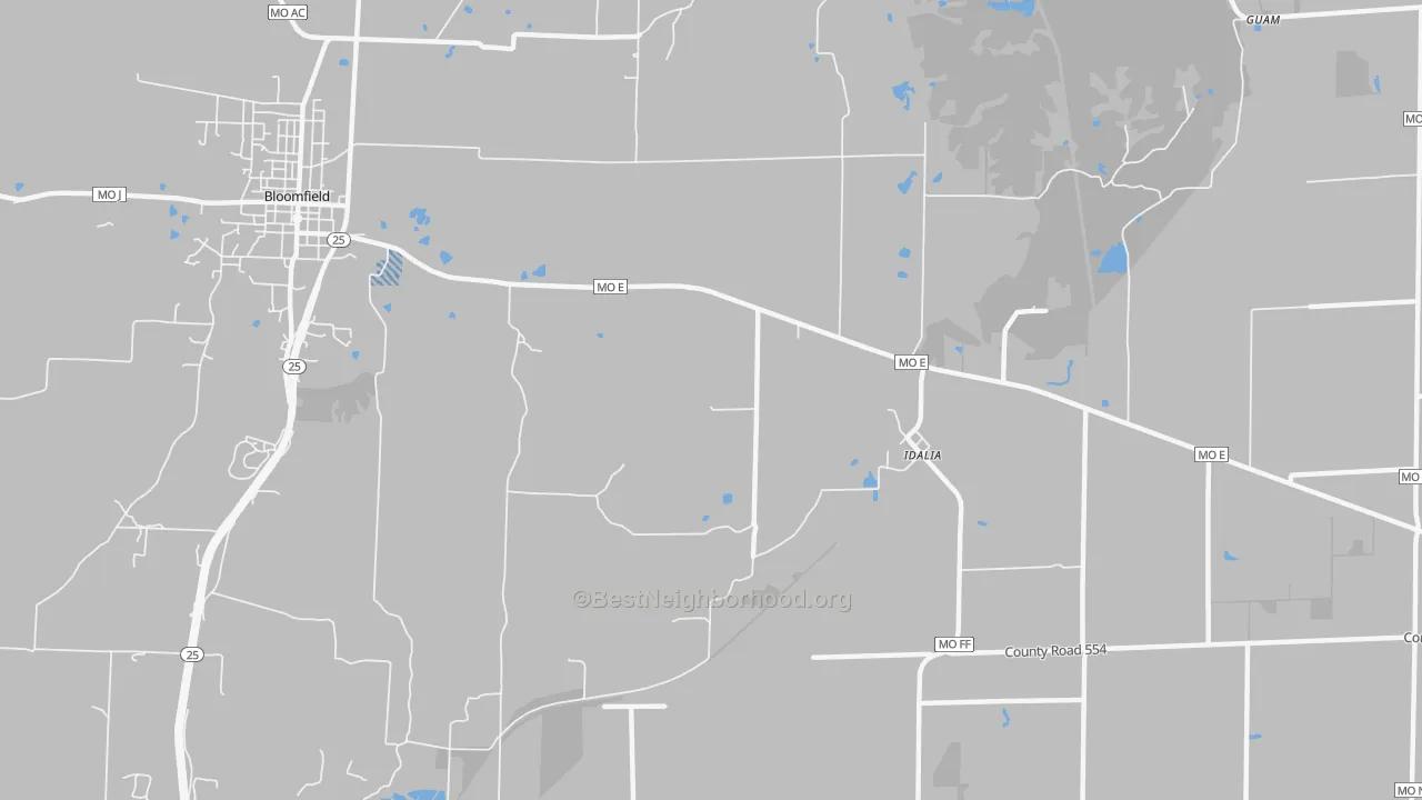 Transit Grade map of Idalia, MO
