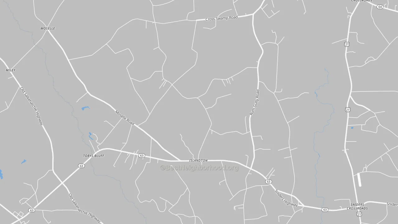 Transit Grade map of Islandton, SC