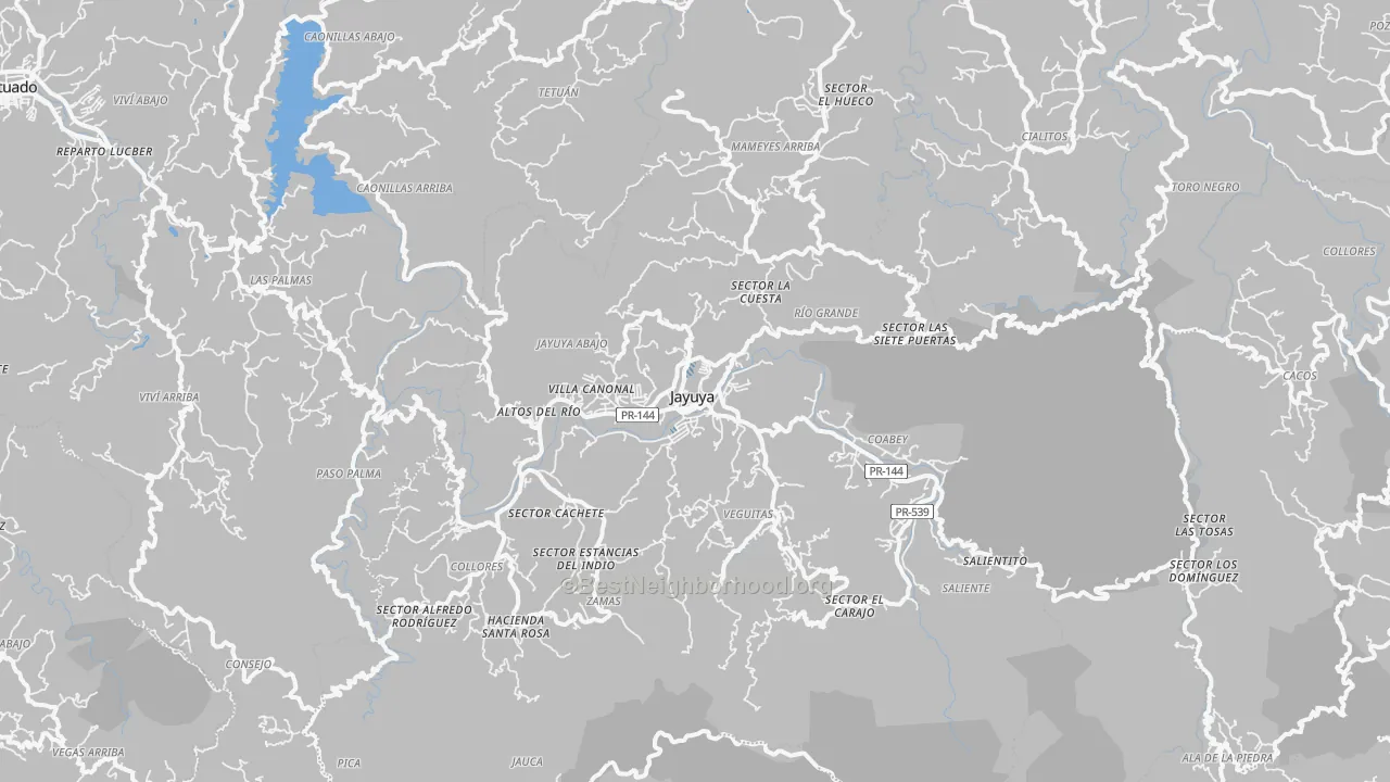 Transit Grade map of Jayuya, PR